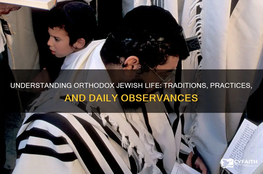 how to orthodox jews live
