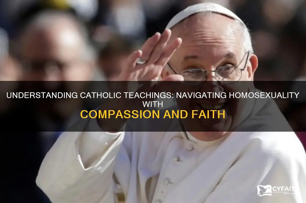 how to overcome homosexuality catholic