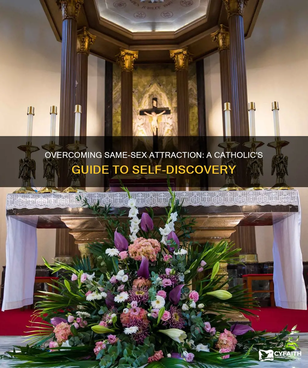 how to overcome same-sex attraction catholic