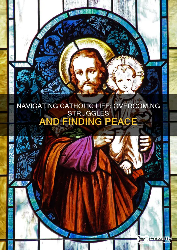how to overcome struggles in catholic life