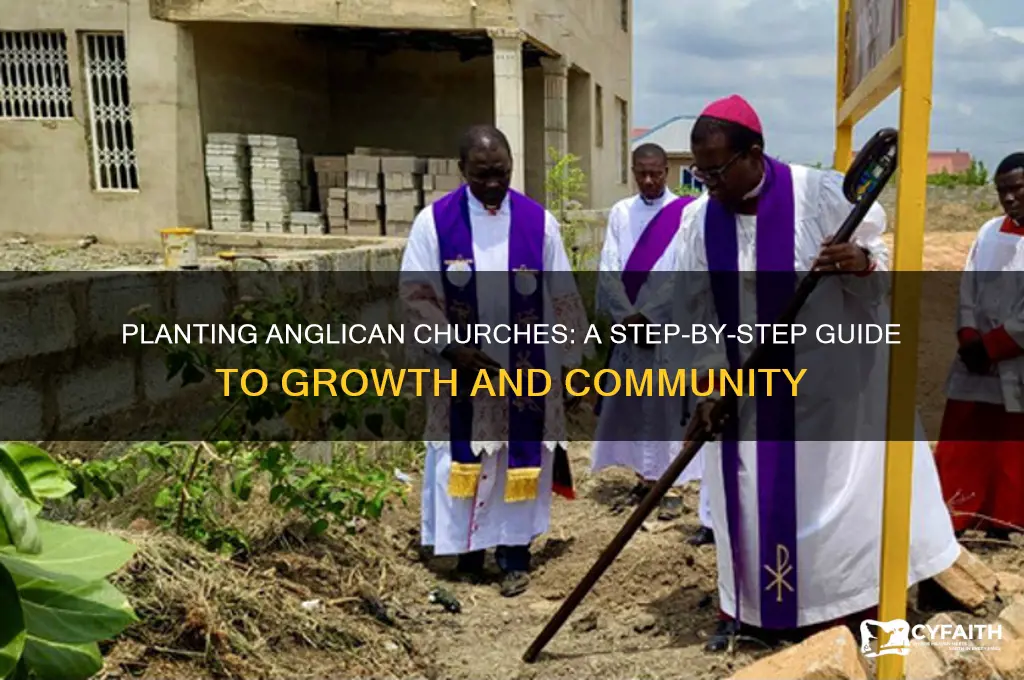 how to plant an anglican church