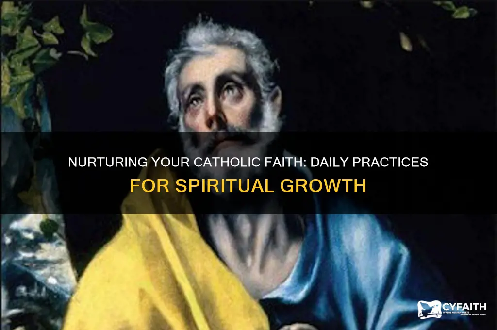 how to practice catholic faith