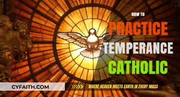 Cultivating Temperance: A Catholic Guide to Self-Control and Virtue