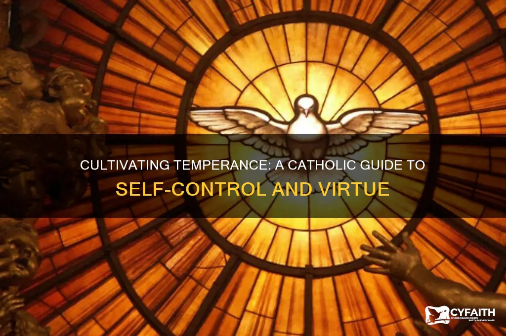 how to practice temperance catholic