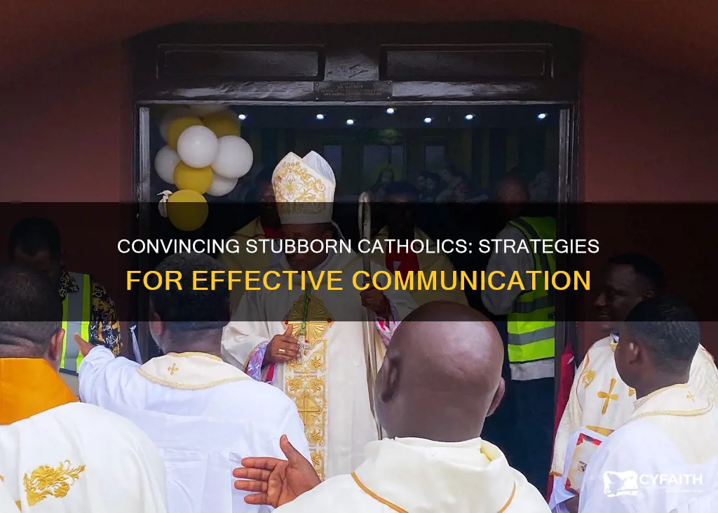 how to preach to a stubborn catholic