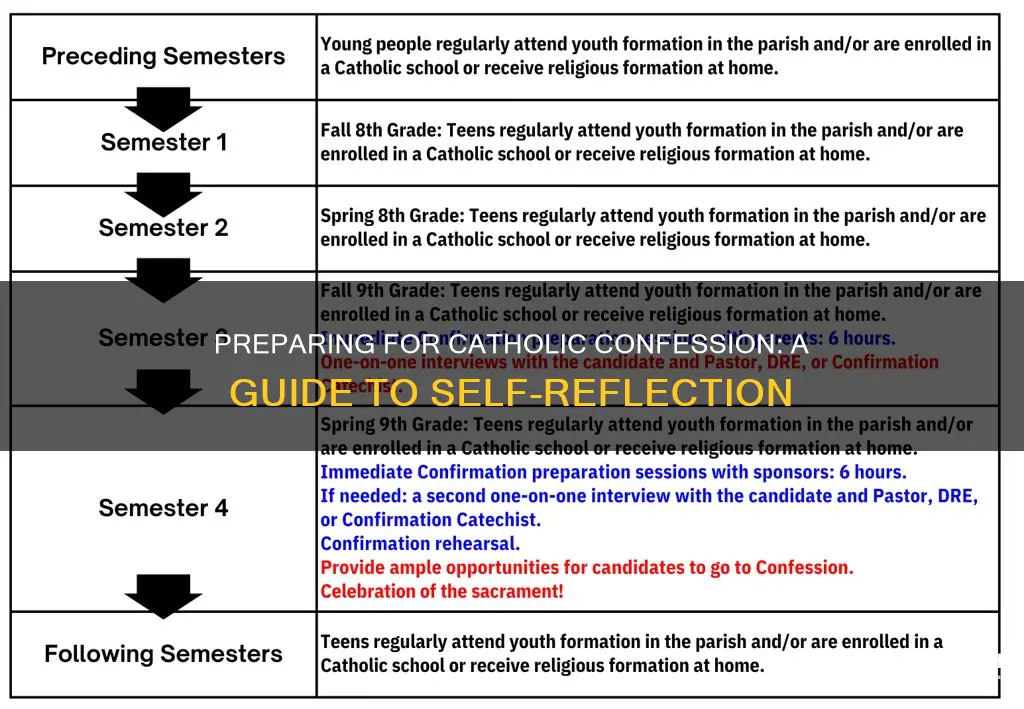 how to prepare for catholic confession catholic answers