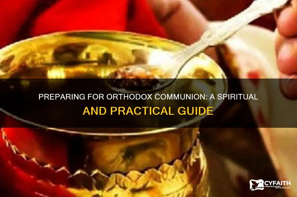 how to prepare for communion orthodox