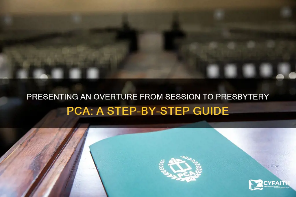 how to present overature from session to presbytery pca