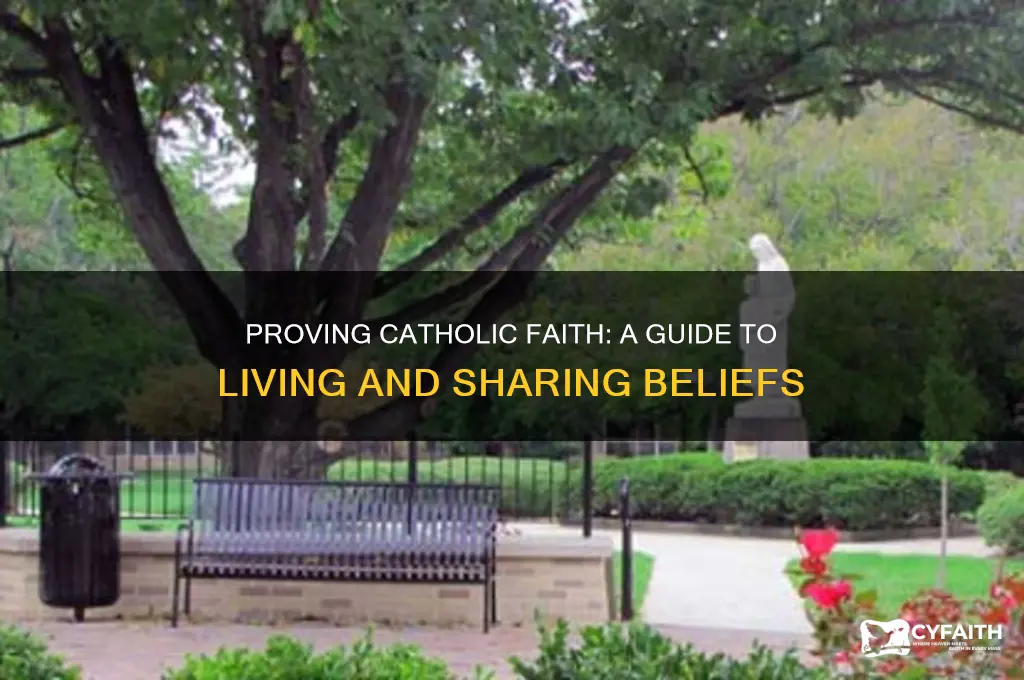 how to prove catholic