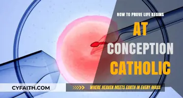 The Catholic View: Life at Conception