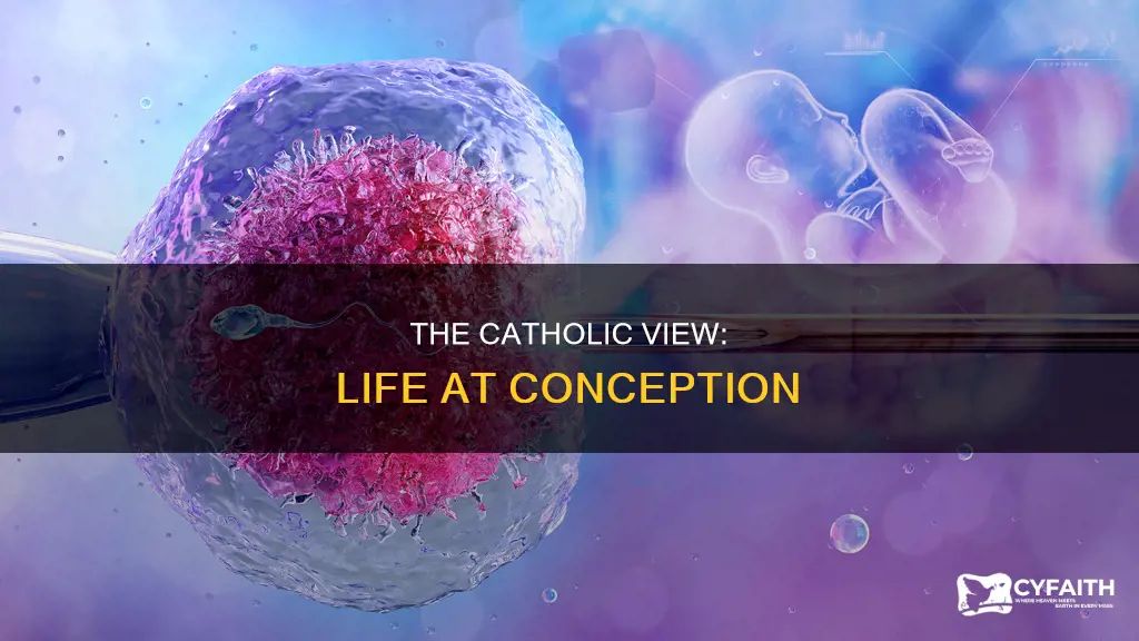 how to prove life begins at conception catholic