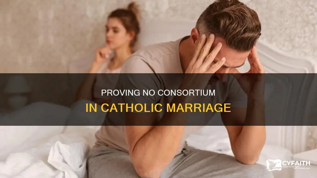how to prove no consortium in catholic marriage