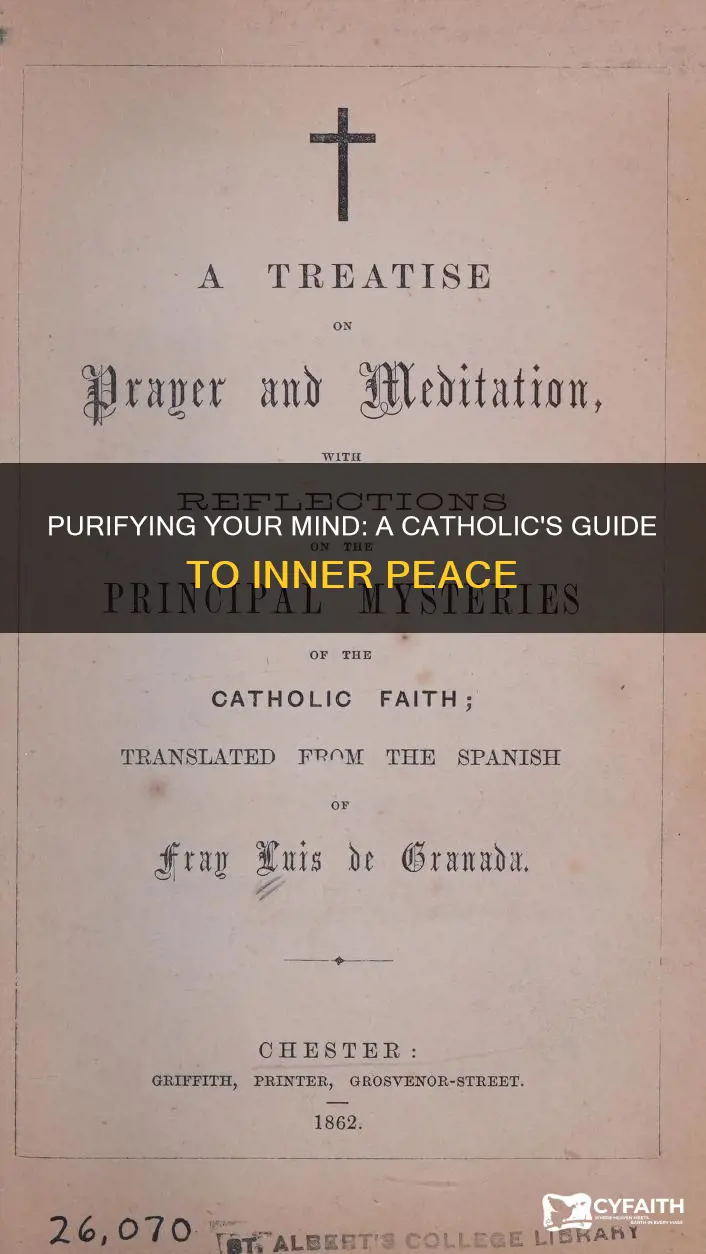 how to purify my mind catholic