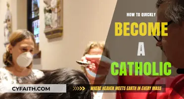 Rapidly Embracing Catholicism: A Quick Guide