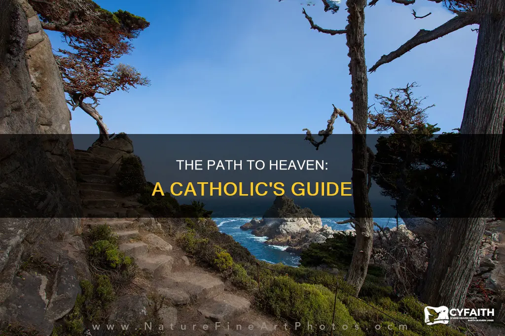 how to reach heaven in catholic