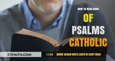 Understanding the Catholic Book of Psalms