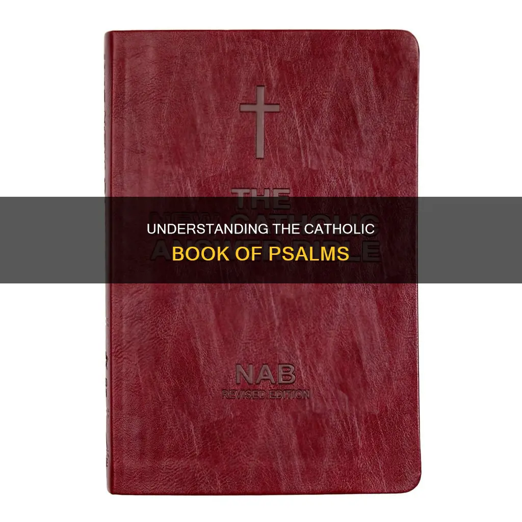 how to read book of psalms catholic