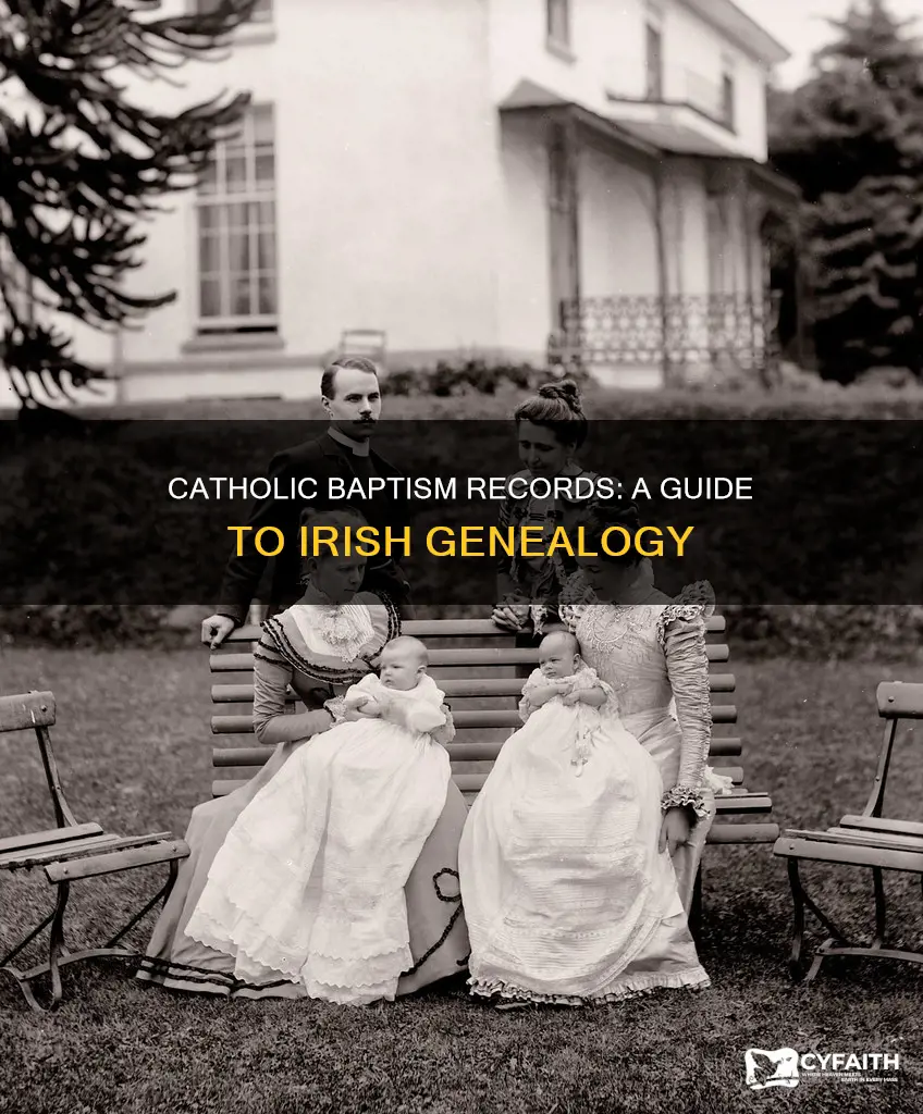 how to read catholic baptism records in ireland