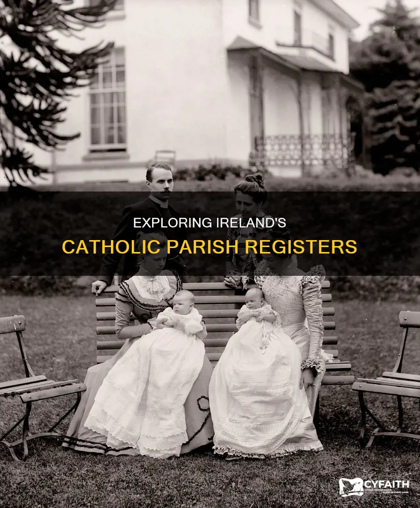 how to read ireland catholic parish registers