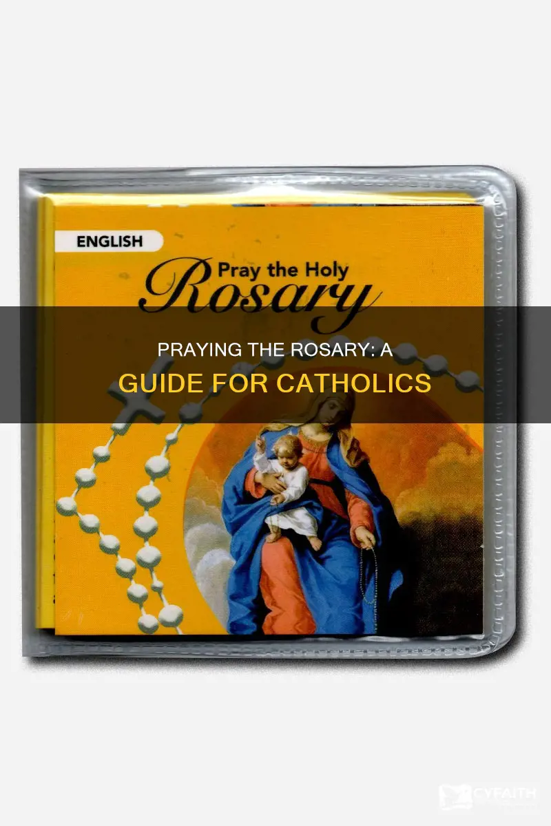 how to read rosary in catholic