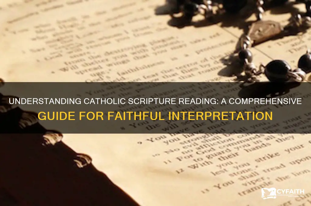 how to read scripture catholic