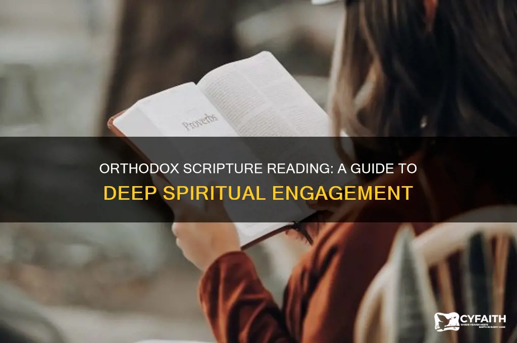 how to read scripture orthodox