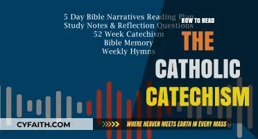 Understanding the Catholic Catechism: A Guide to Reading