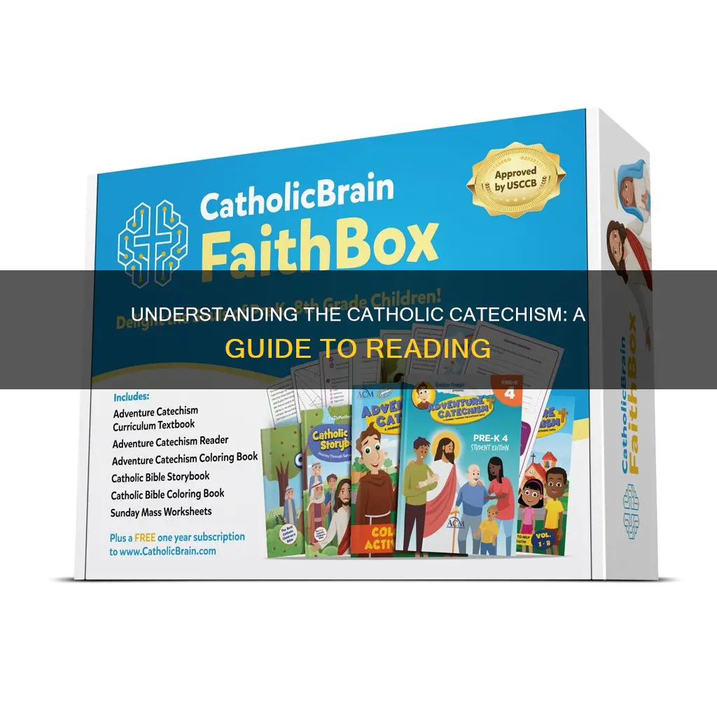 how to read the catholic catechism