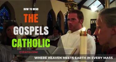Exploring the Catholic Gospels: A Reading Guide