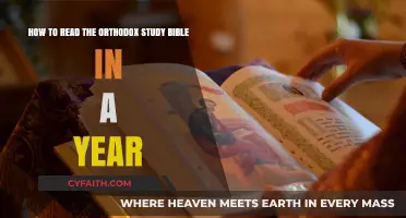 Mastering the Orthodox Study Bible: A Year-Long Reading Journey