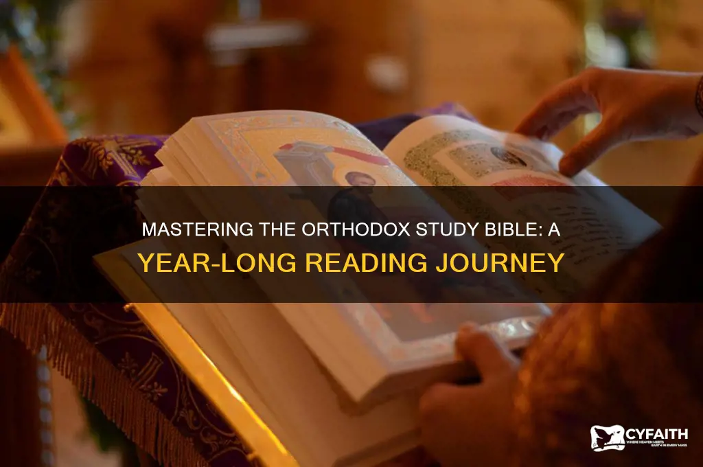 how to read the orthodox study bible in a year