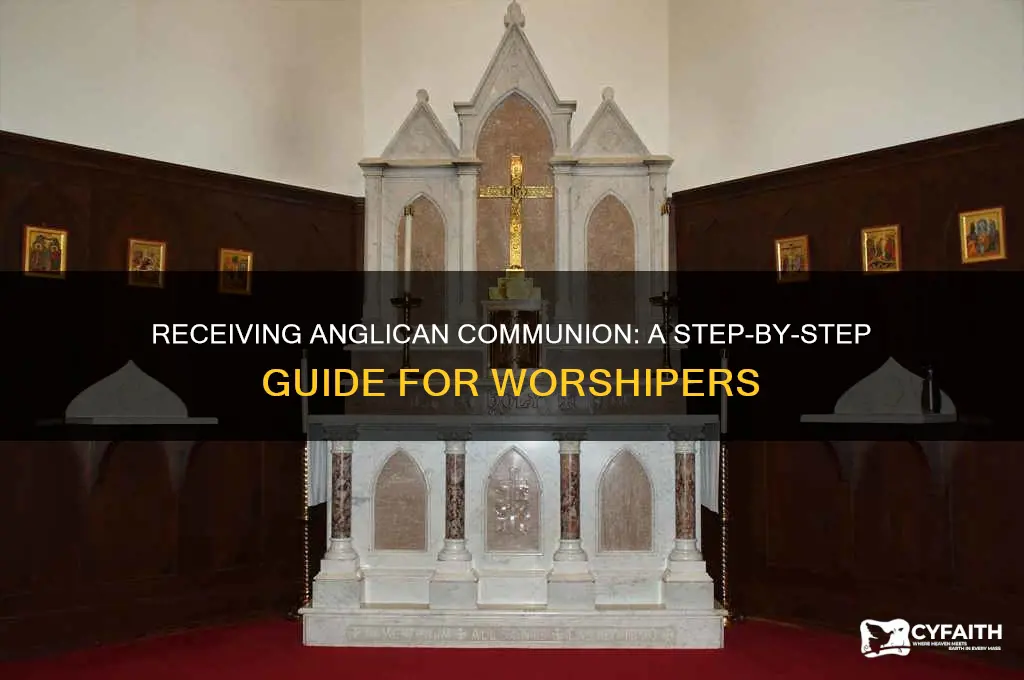 how to receive anglican communion