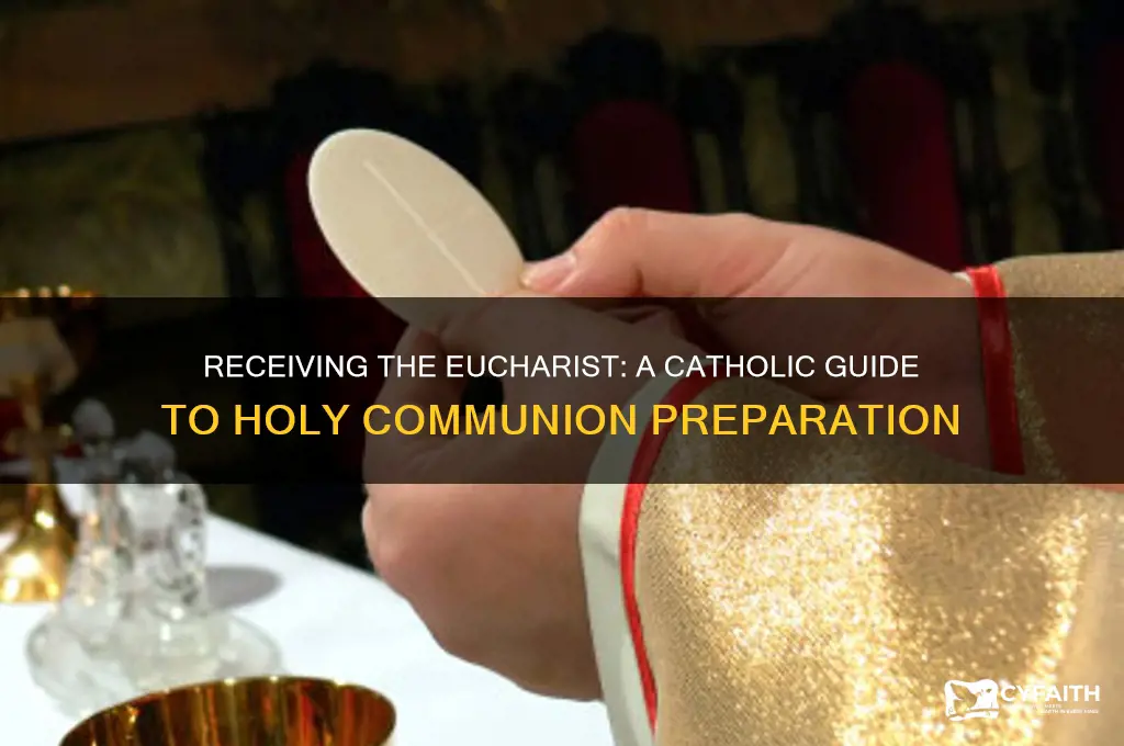 how to receive eucharist catholic