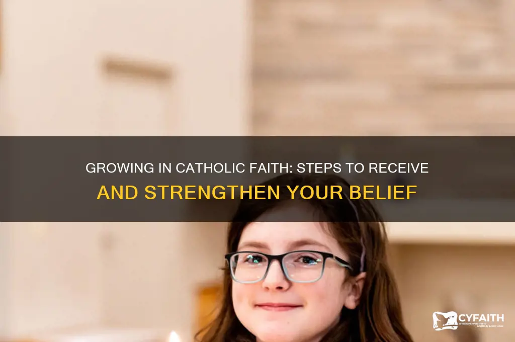 how to receive faith catholic