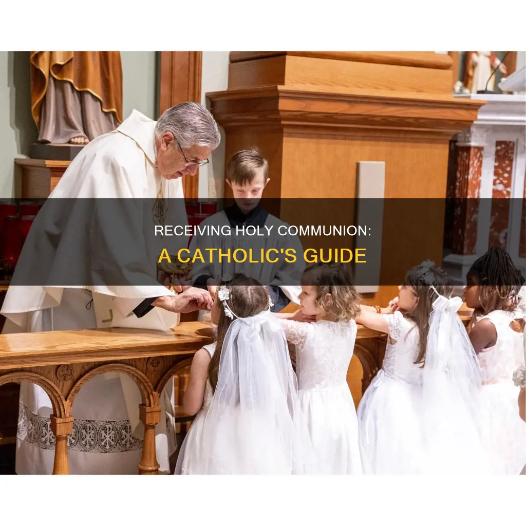 how to receive holy communion catholic