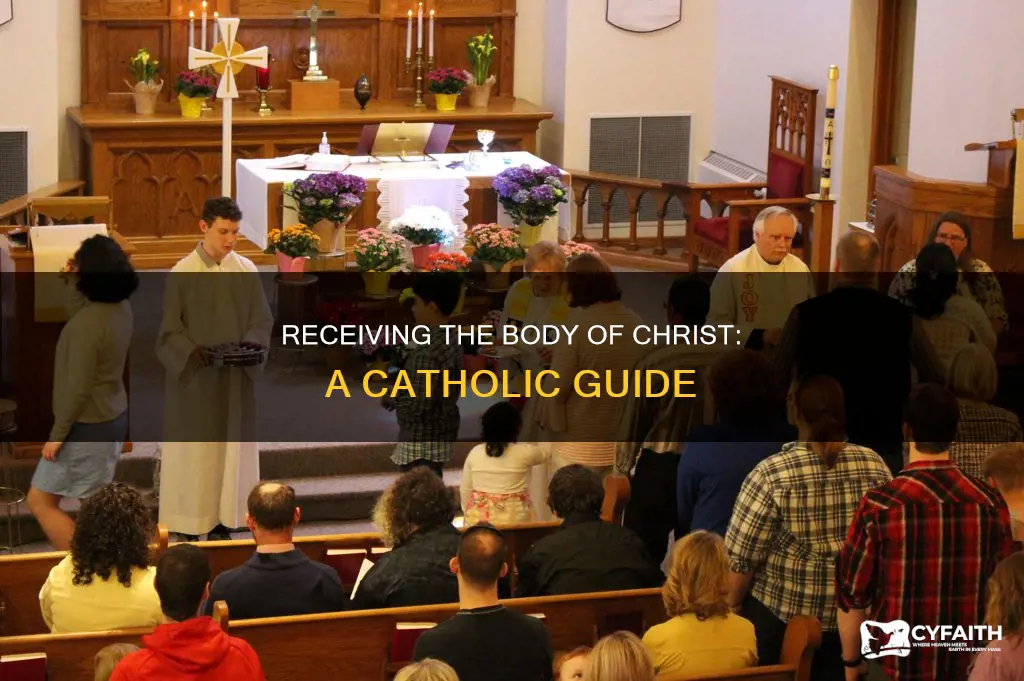 how to receive the body of christ catholic