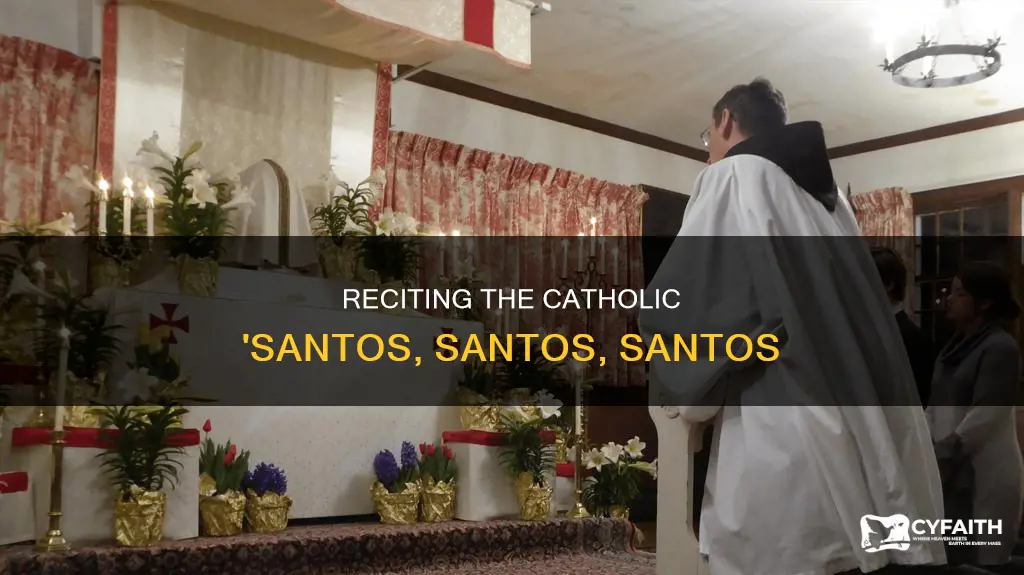 how to recite the catholic santos santos santos