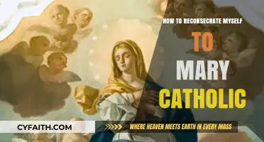 Reconsecrating to Mary: A Guide for Catholics