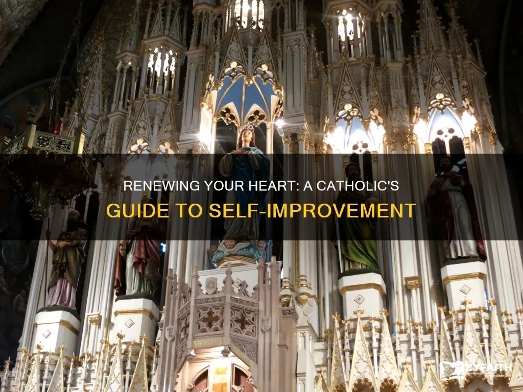 how to renew your heart catholic