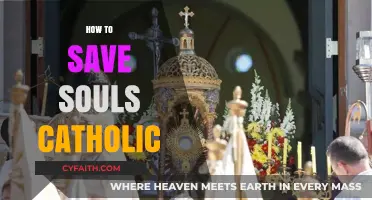 Saving Souls Catholic Way: Compassionate Evangelization and Faith Practices