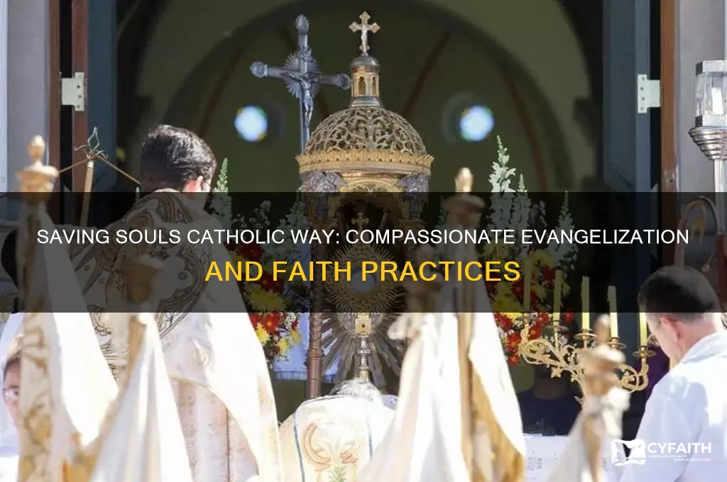 how to save souls catholic