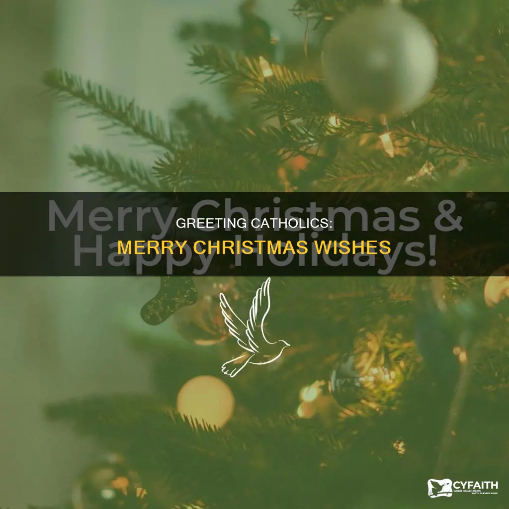 how to say merry cheistmas to a catholic