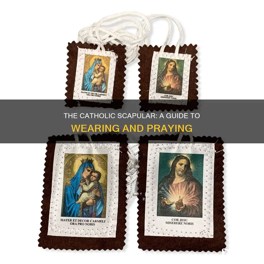 how to say scapular for catholics