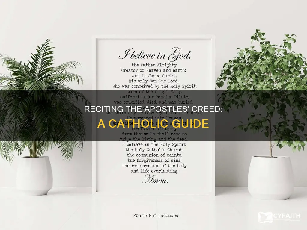how to say the catholic apostles creed