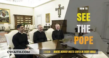A Pilgrim's Guide: Witnessing the Pope in Vatican City