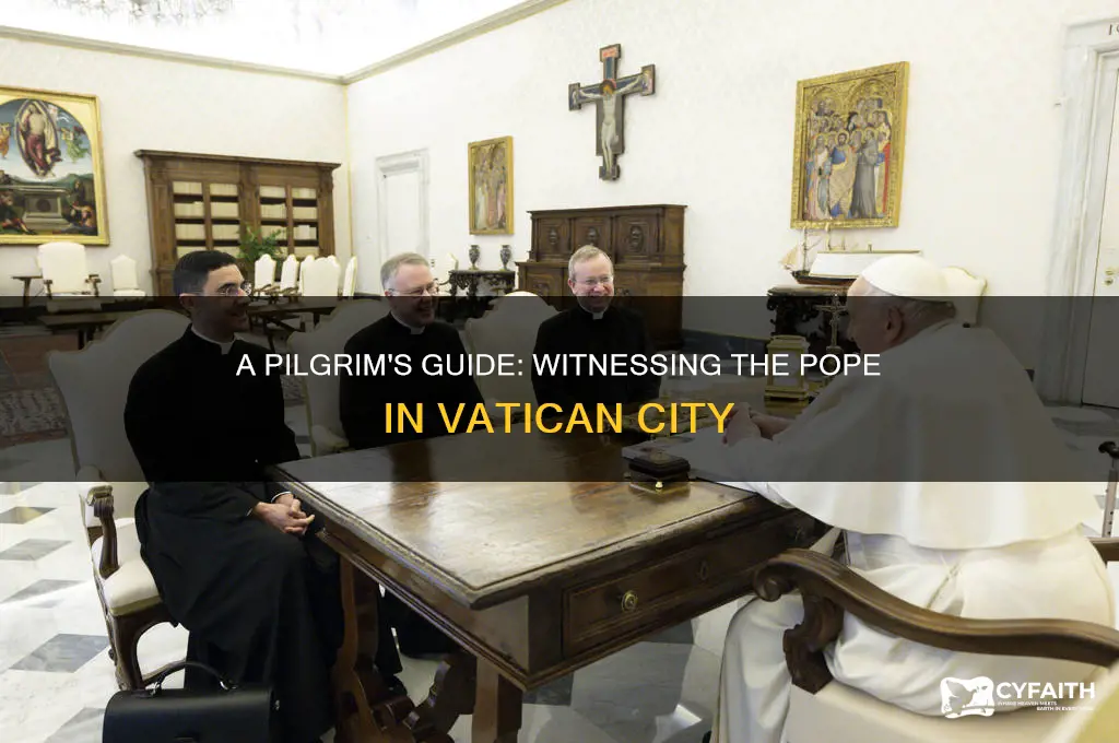 how to see the pope