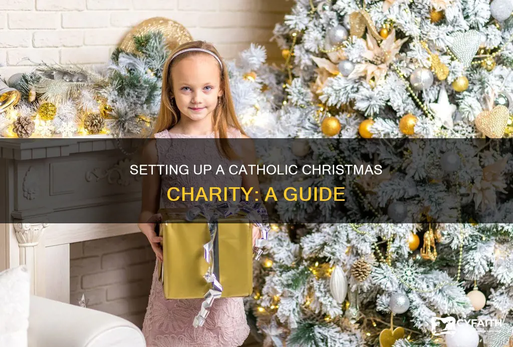 how to set up a catholic christmas charity
