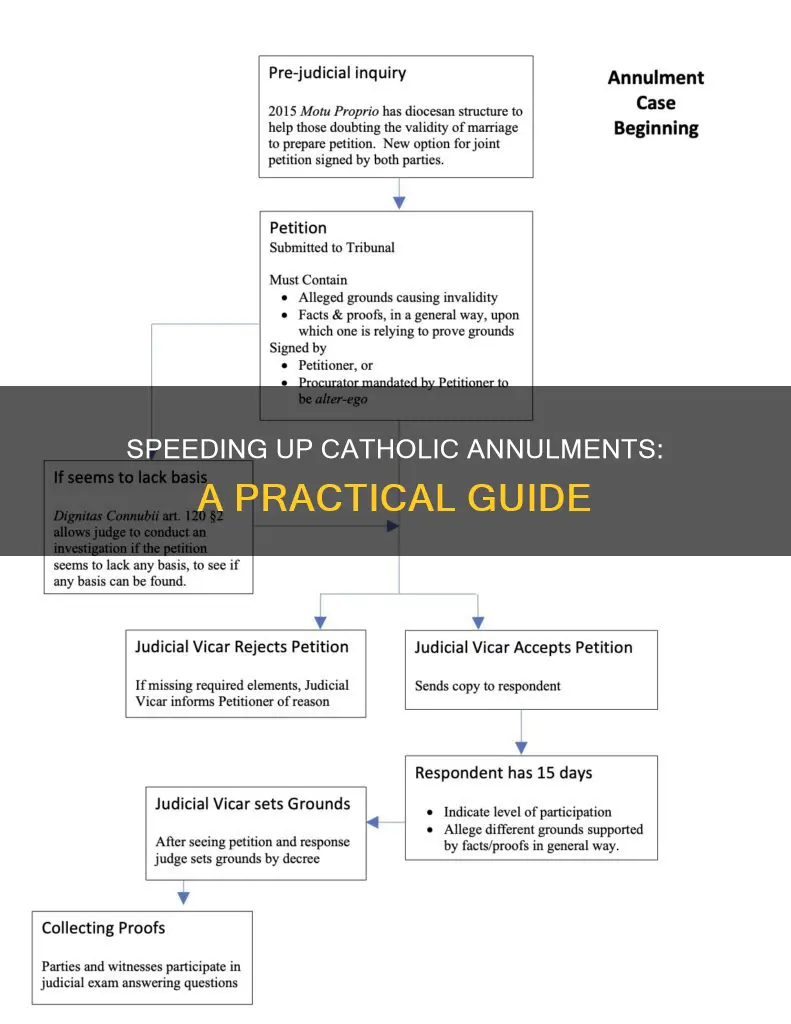 how to speed up catholic annulment