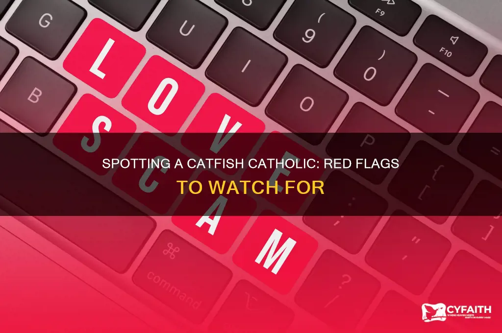 how to spot a catfish catholic