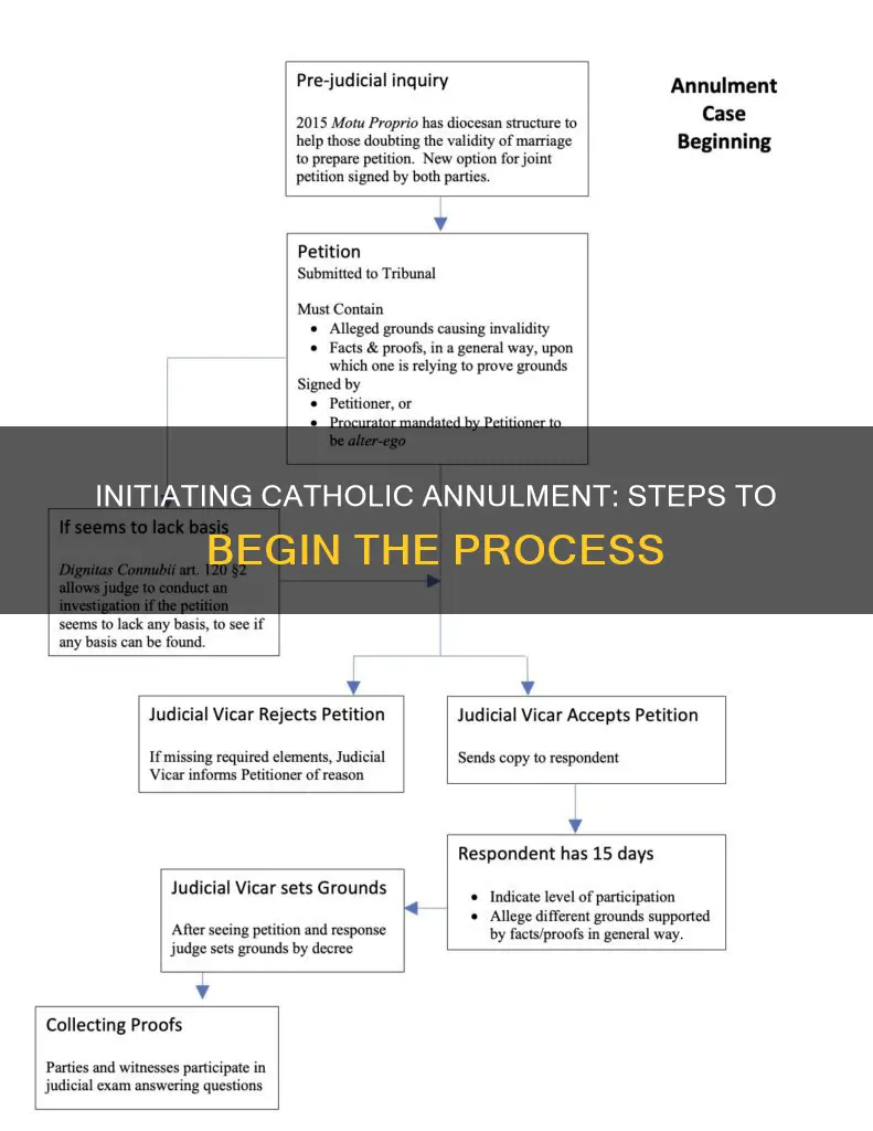 how to start a catholic annulment